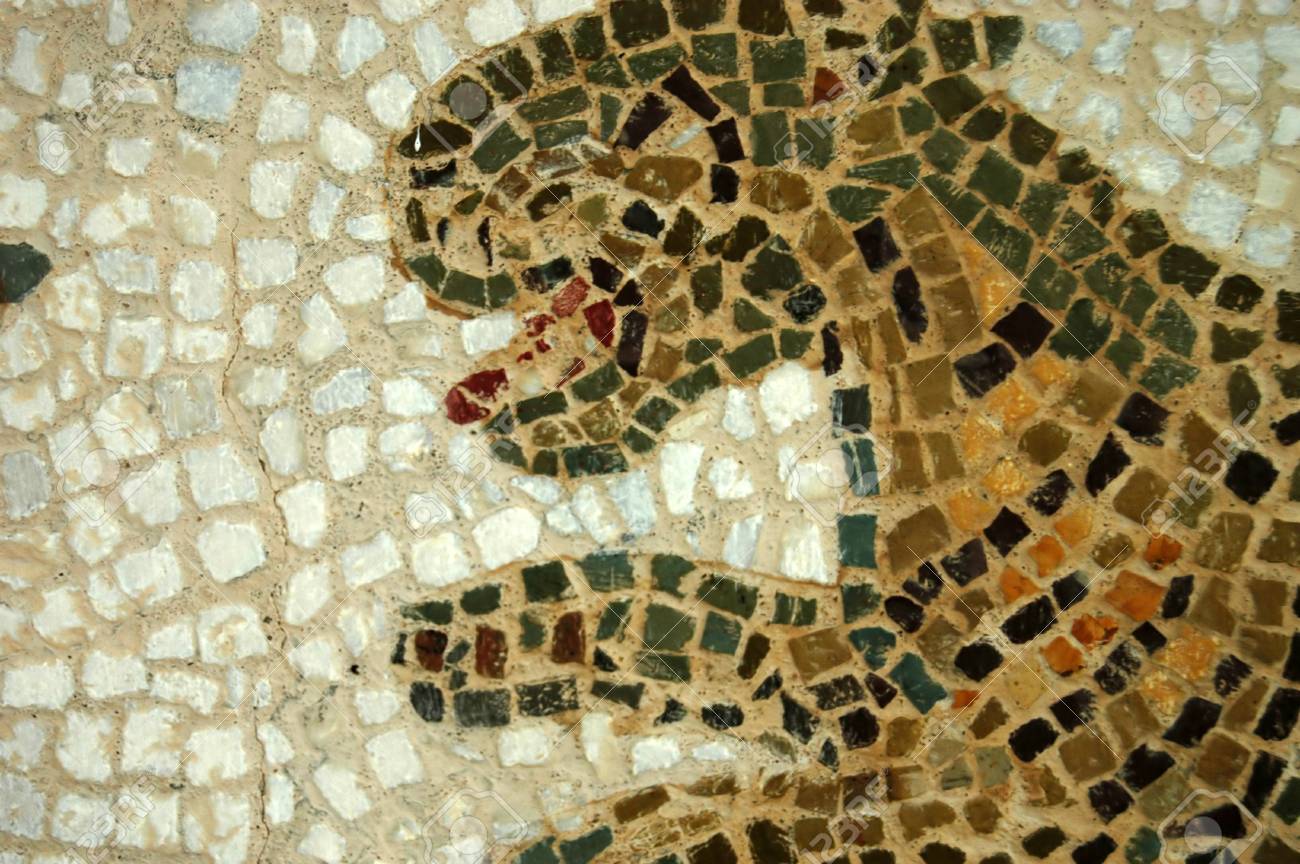 etiam-dictum-ipsum-a-felis