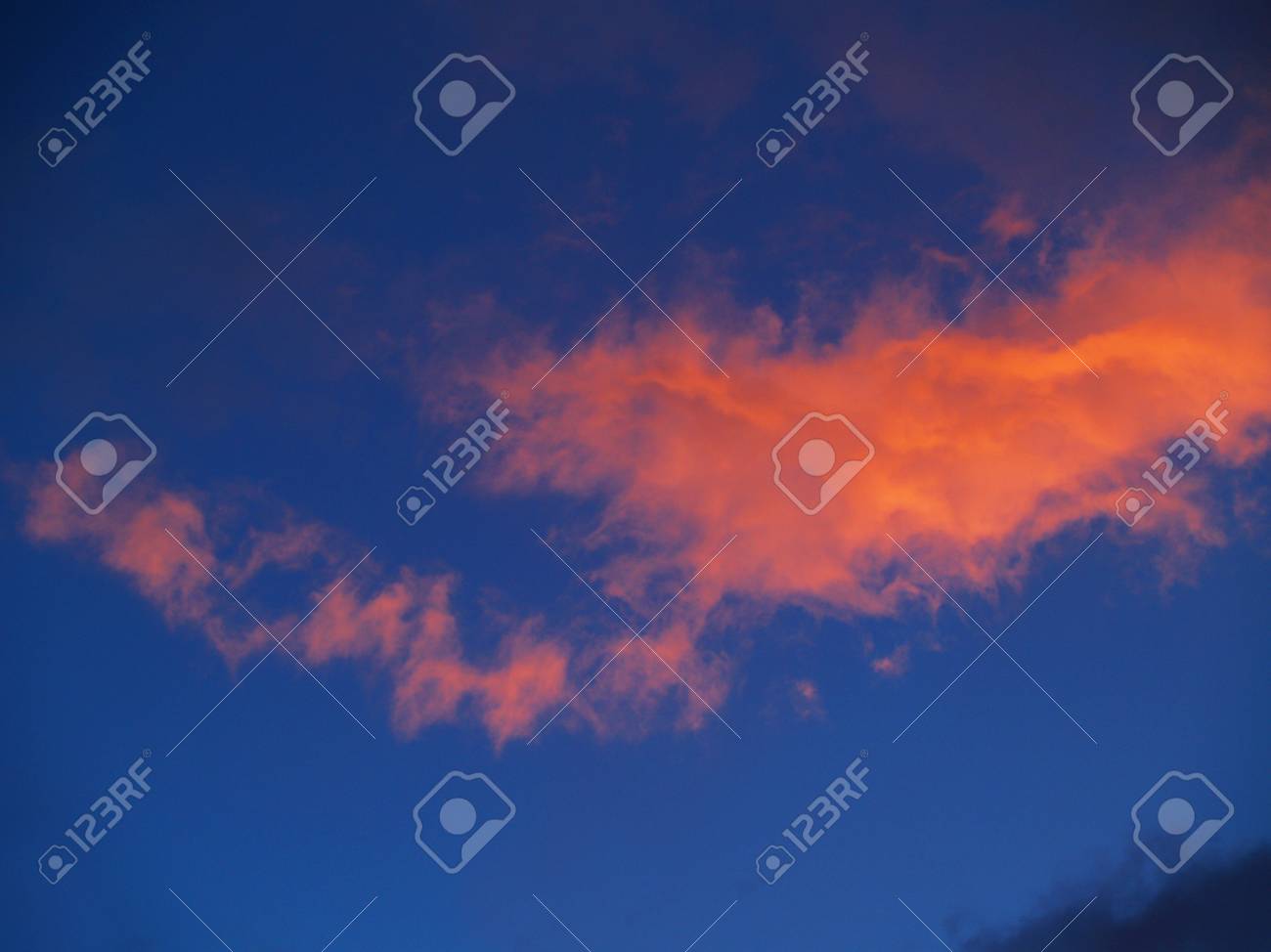 Hd限定ピンク 夕焼け 最高の花の画像