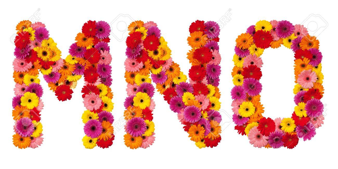 MNO Lettre - Alphabet Fleurs Isolé Sur Fond Blanc Banque D'Images Et Photos Libres De Droits. Image 11222859.