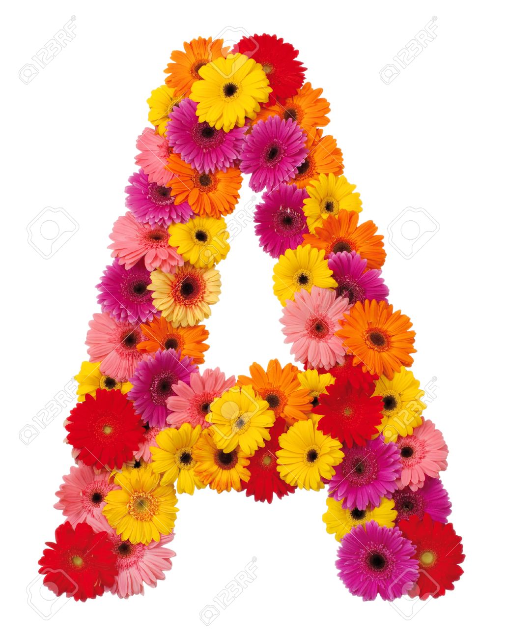 Letter A Flower Alphabet Isolated White Background Stock Letter A Flower Alphabet Isolated White Background Stock