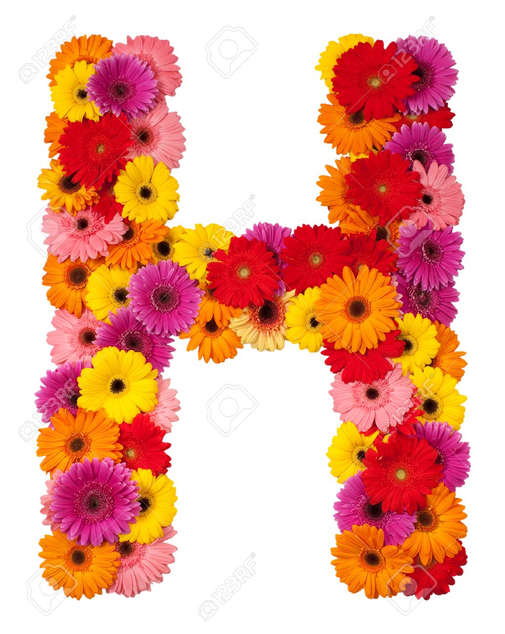 Letter H - Flower Alphabet Isolated On White Background Stock ... Letter H - Flower Alphabet Isolated On White Background Stock ...