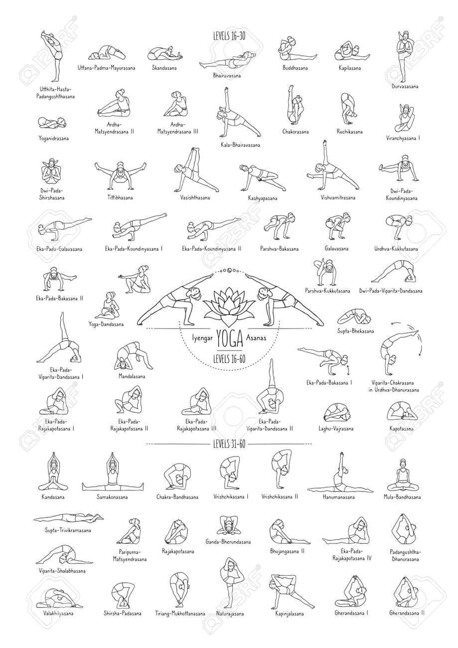 SPORTAXIS Yoga Poses Poster- 64 Yoga Asanas for Full Body Workout-  Laminated Home Workout Poster with Colored Illustrations - English and  Sanskrit Names - 18