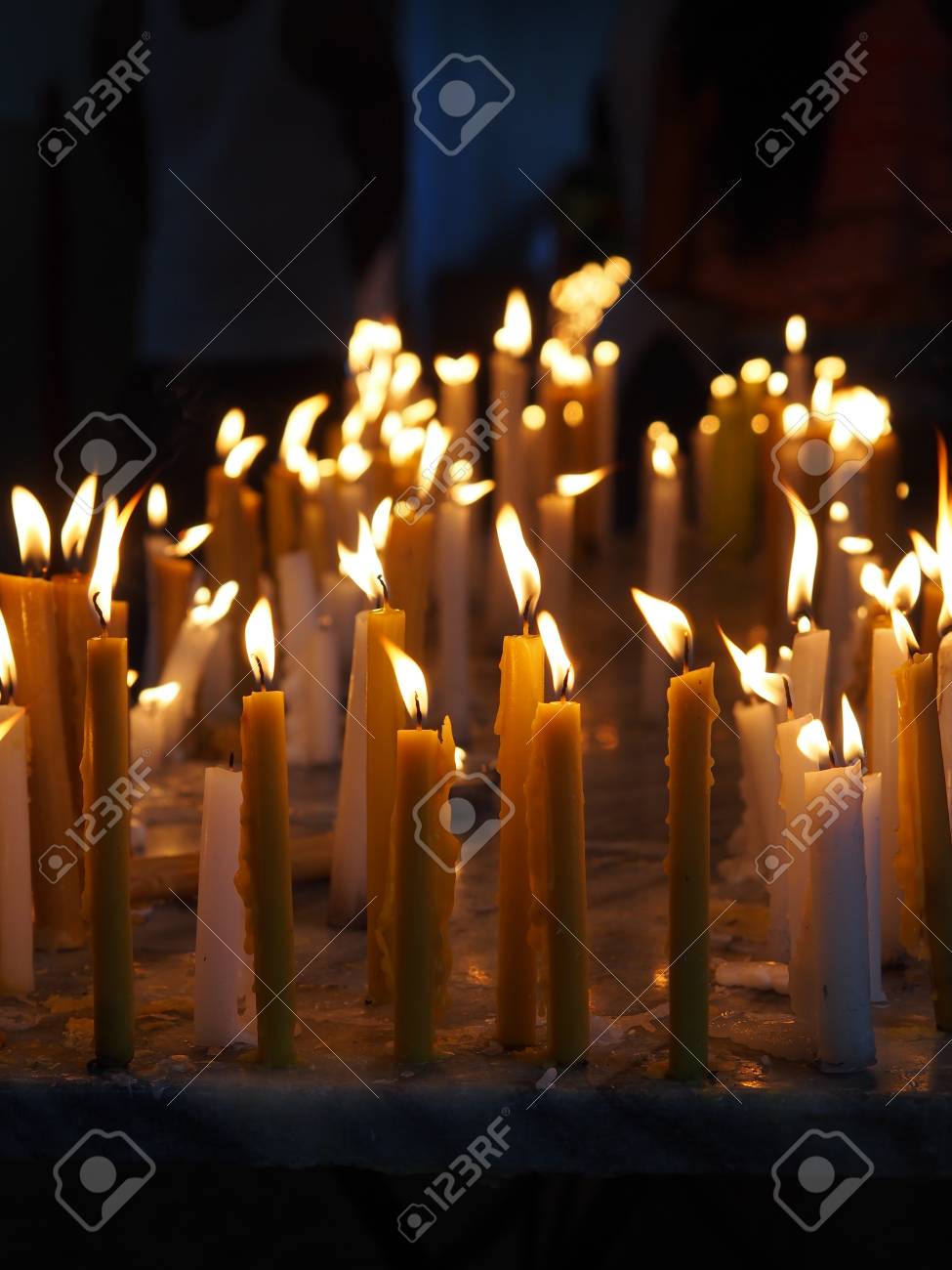 etiam-dictum-ipsum-a-felis