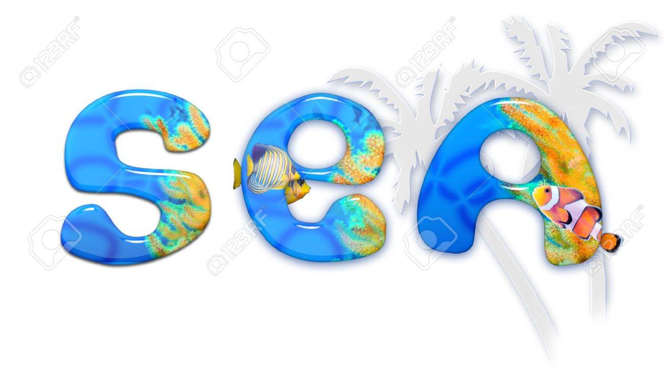 marine fonts