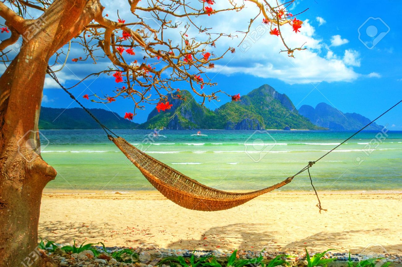 tropical beach scene with hammock stock photo picture and royalty