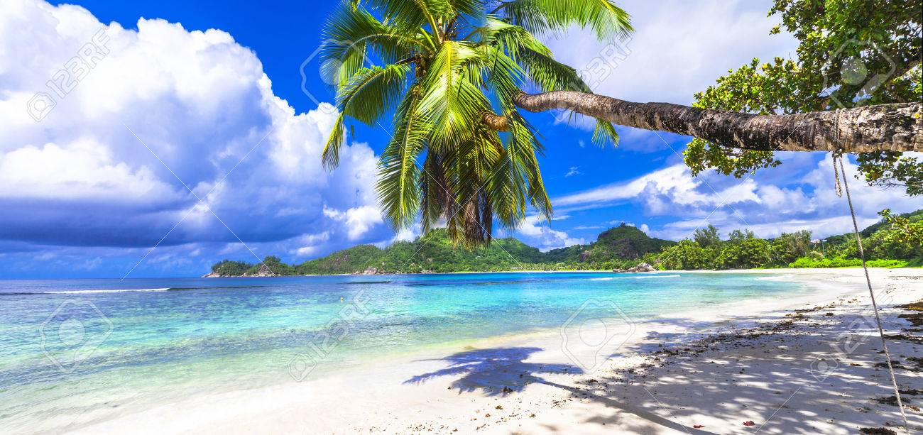 white snady beach and crystal waters of Seychelles islands - 44685730 white snady beach and crystal waters of Seychelles islands - 44685730