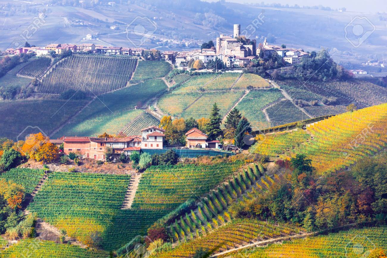 Beautiful Barolo village, panoramic view, Italy. - 81710766 Beautiful Barolo village, panoramic view, Italy. - 81710766