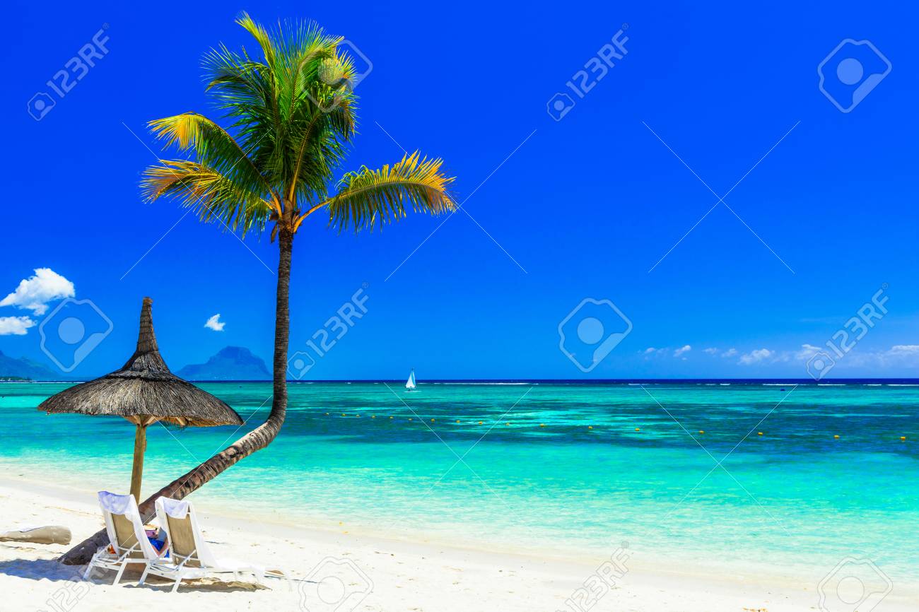 Beautiful beach of Mauritius island, view from the azure sea and palm tree. - 91120197 Beautiful beach of Mauritius island, view from the azure sea and palm tree. - 91120197