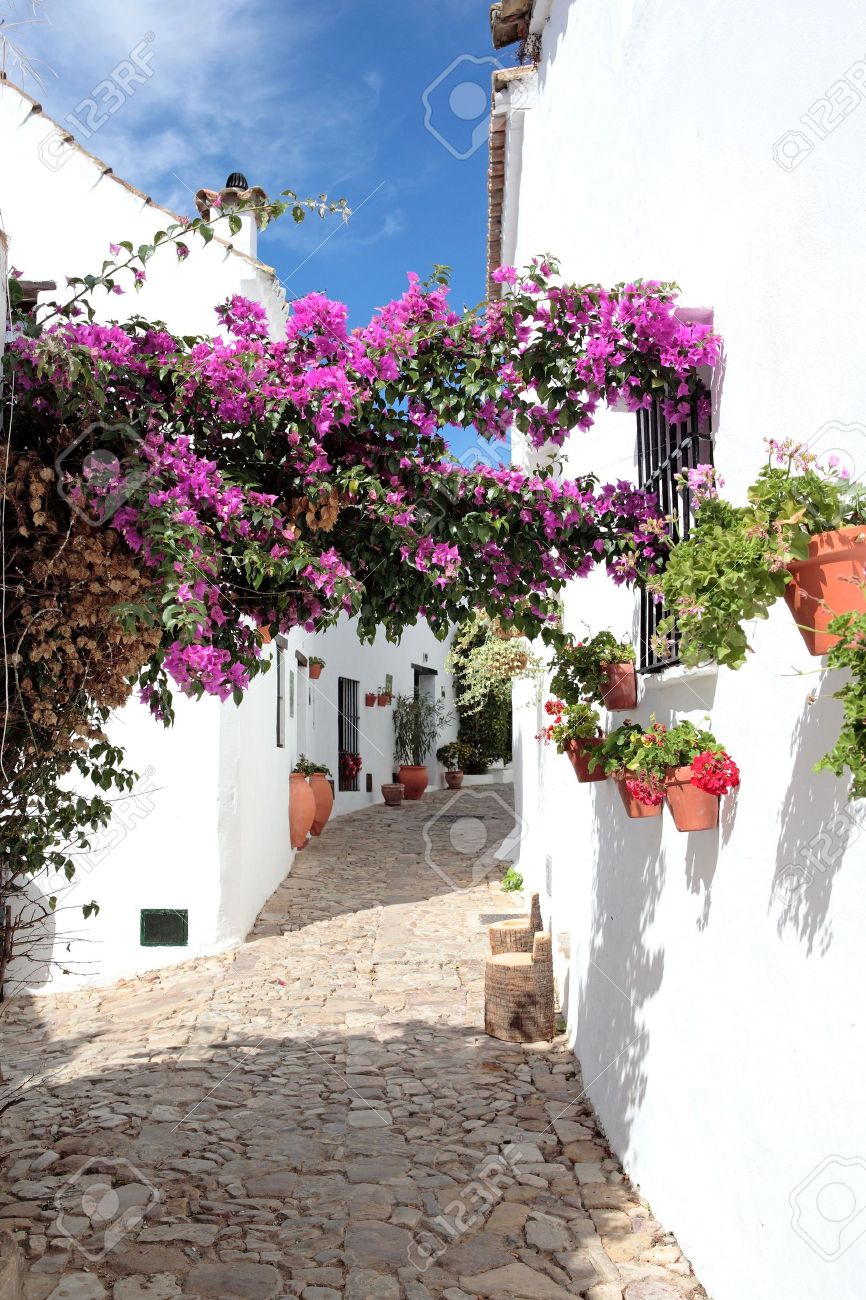 狭い石畳の通り スペイン南部のアンダルシア カスティロ デ ラ フロンテラでスペイン語種族の可愛い家 の写真素材 画像素材 Image