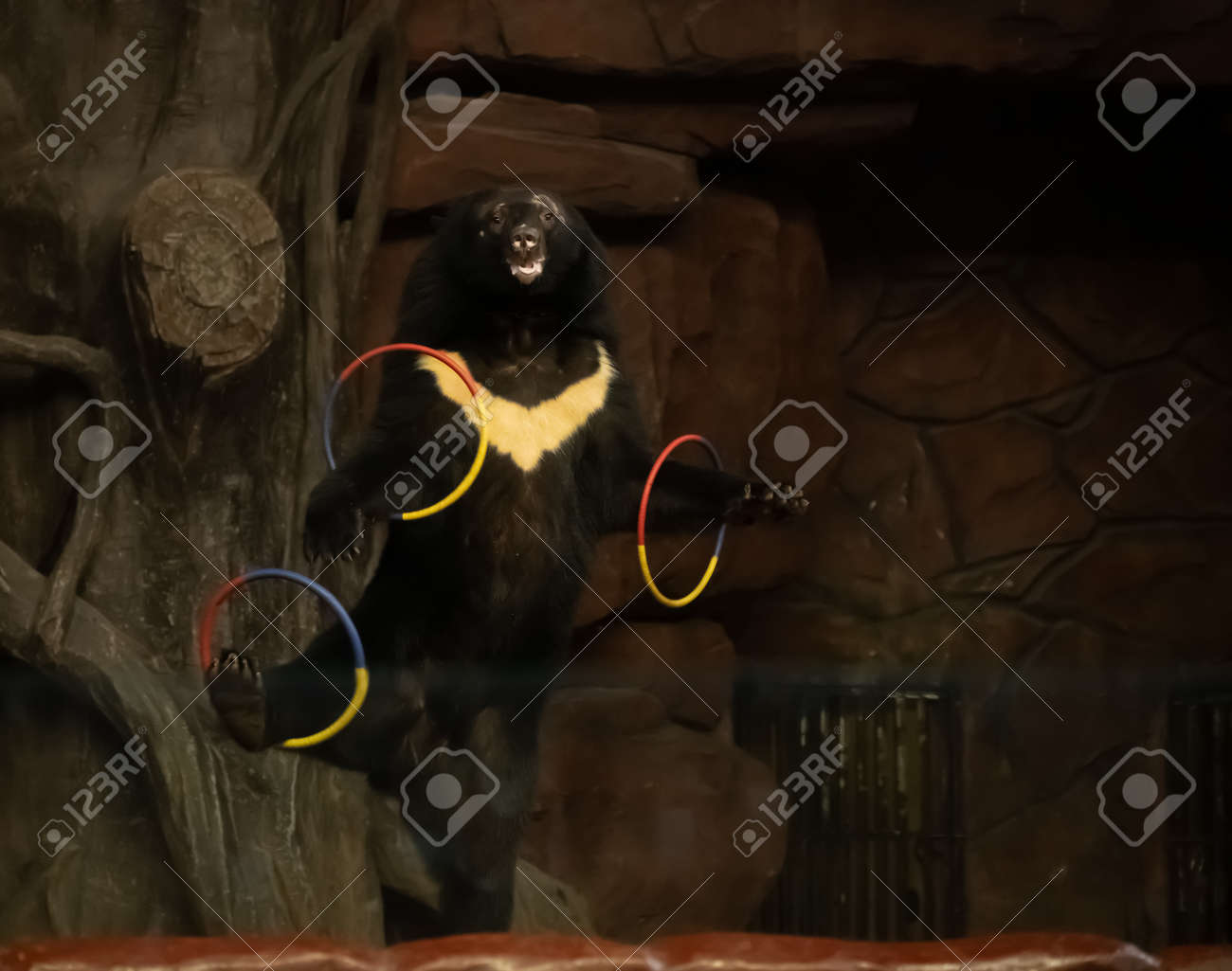 etiam-dictum-ipsum-a-felis