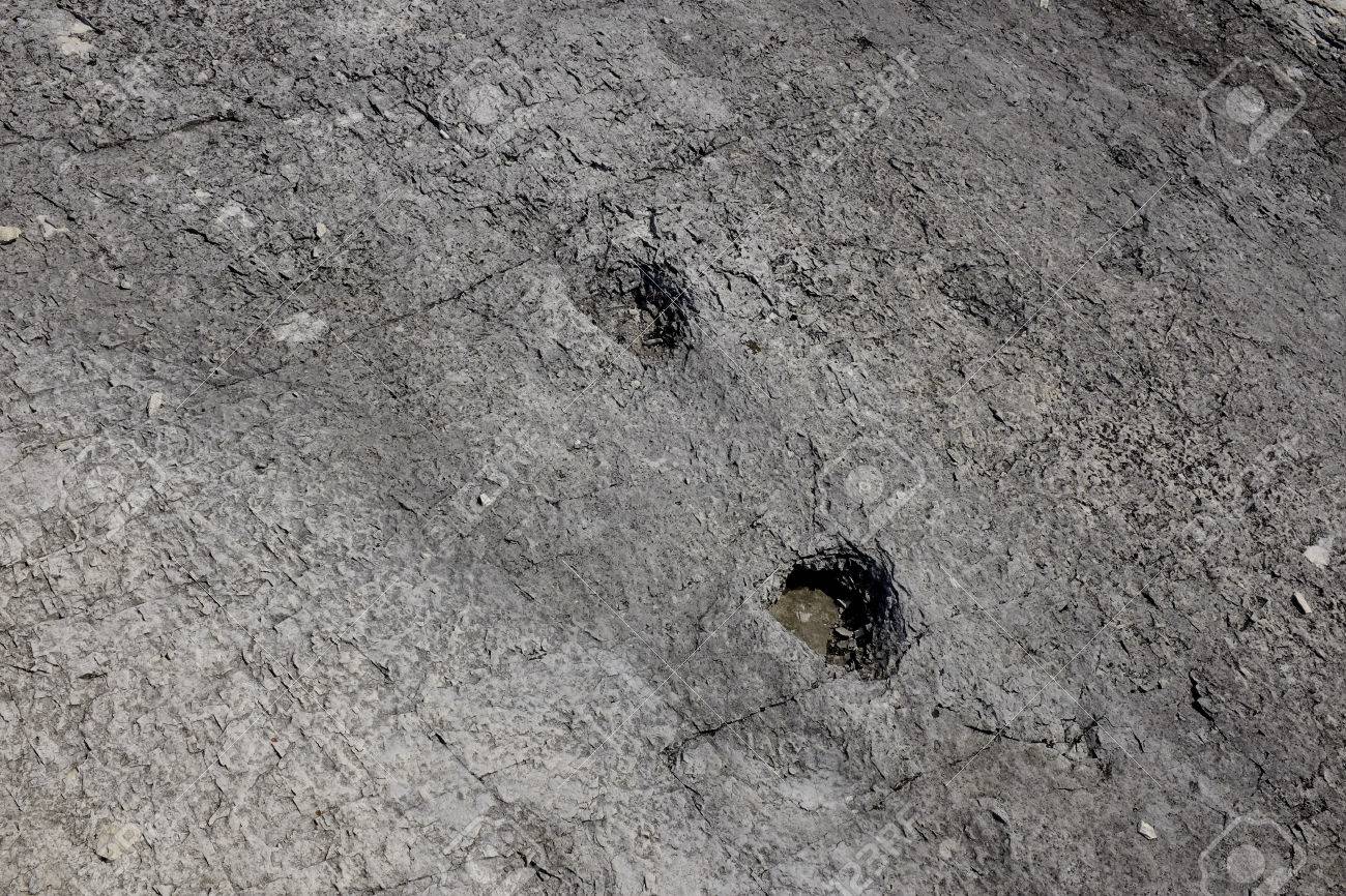 恐竜足跡化石、古代の先史時代の動物の詳細を追跡して、絶滅した