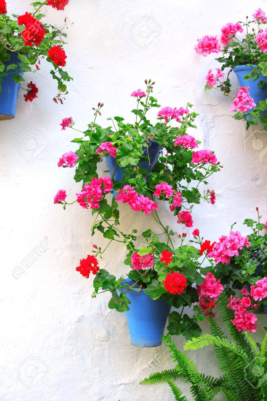 flowerpots with geranium on