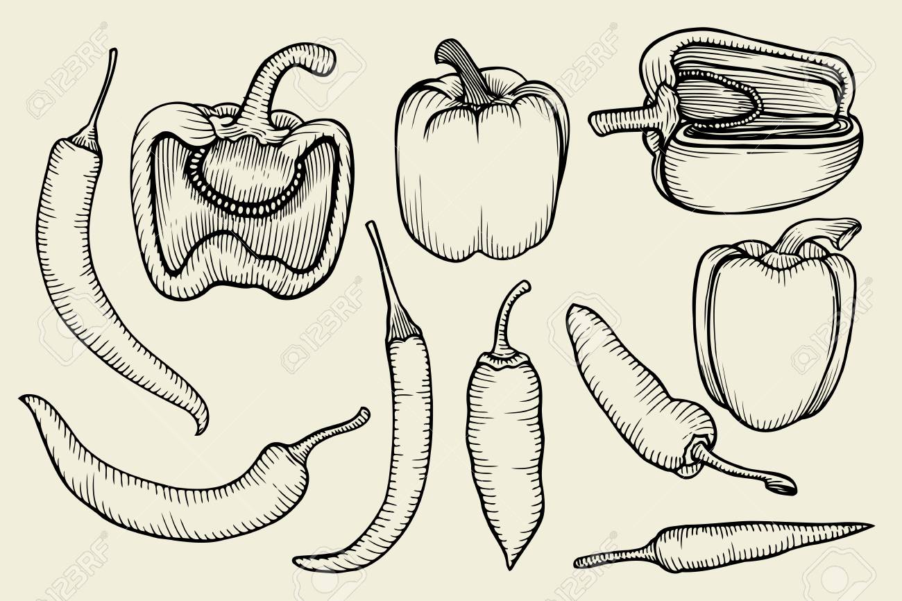 唐辛子の種類の手描きスケッチ集 甘いピーマン 新鮮な野菜は 分離にベージュ色の背景を設定します のイラスト素材 ベクタ Image 唐辛子の種類の手描きスケッチ集 甘いピーマン 新鮮な野菜は 分離にベージュ色の背景を設定します のイラスト素材 ベクタ Image