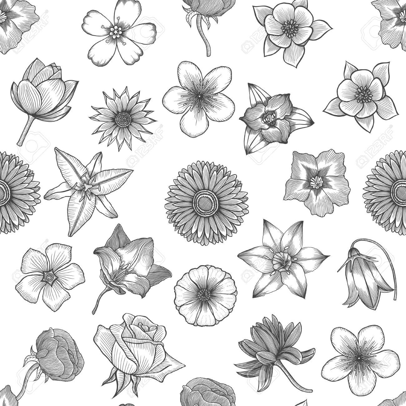 春の花シームレスな花柄の背景 手描き庭の植物バターカップ ライラック フリージア アネモン 白黒ベクトルヴィンテージイラスト のイラスト素材 ベクタ Image