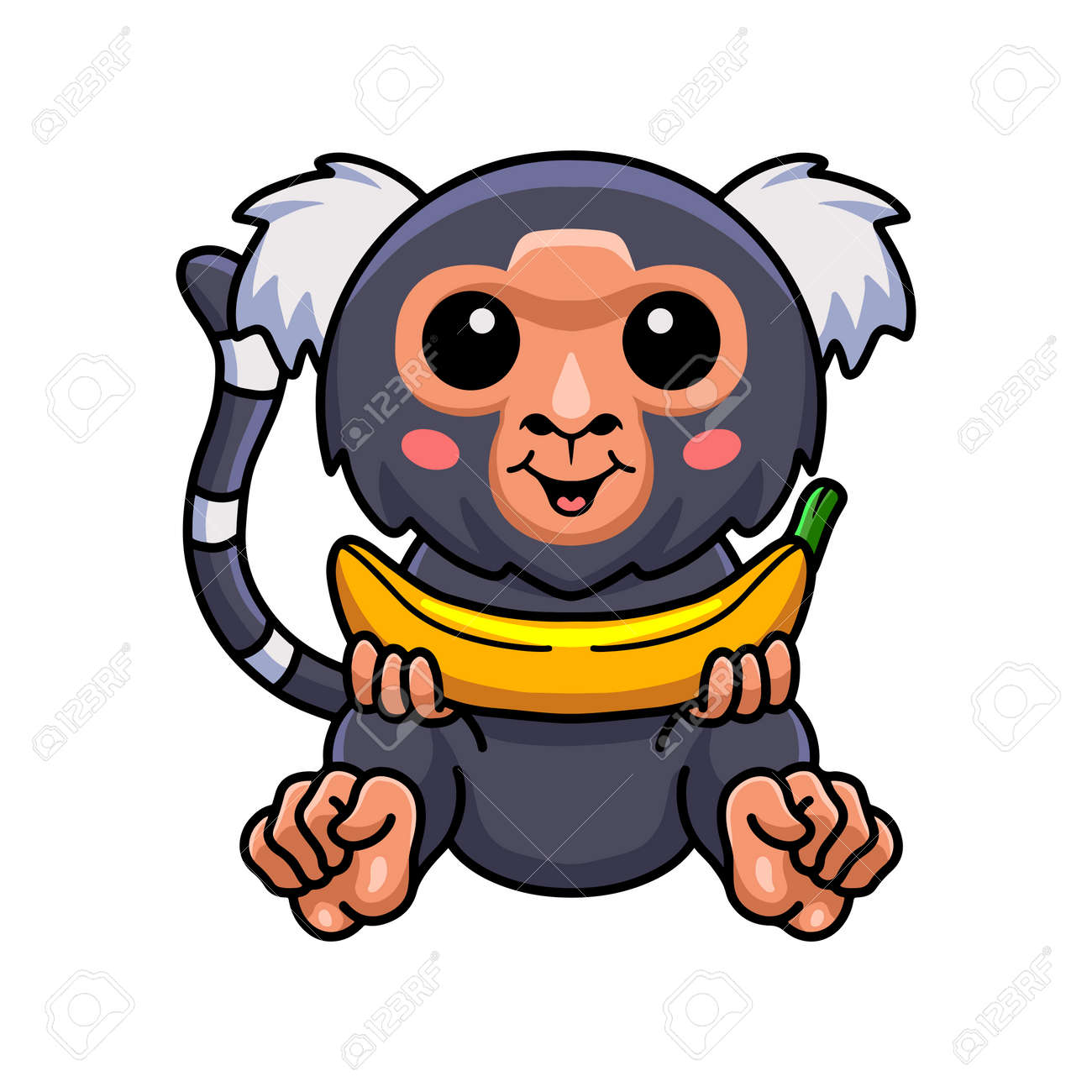 Dessin Animé Mignon Singe Ouistiti Pygmée Tenant Une Banane Clip Art Libres  De Droits, Svg, Vecteurs Et Illustration. Image 187776204