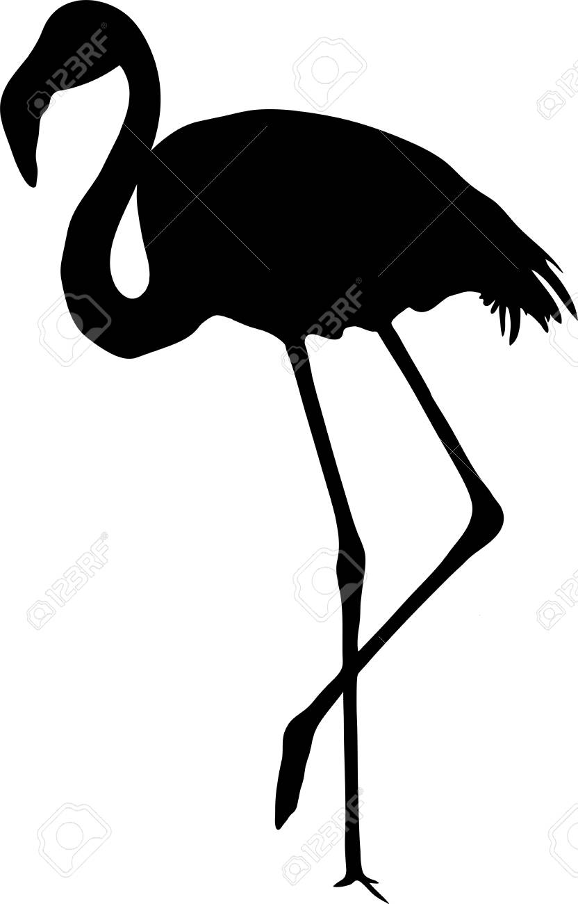 View On The Silhouette Of A Flamingo Digitally Hand Drawn Vector Illustraion Royalty Free Cliparts Vectors And Stock Illustration Image