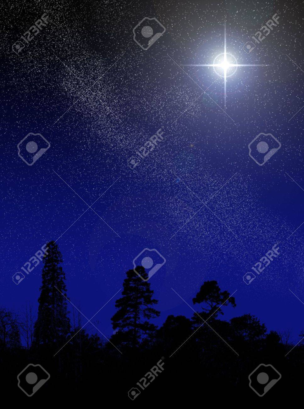 Une étoile Qui Brille à Lest étoile Brillante Dans Le Ciel étoilé Derrière Des Arbres En Silhouette