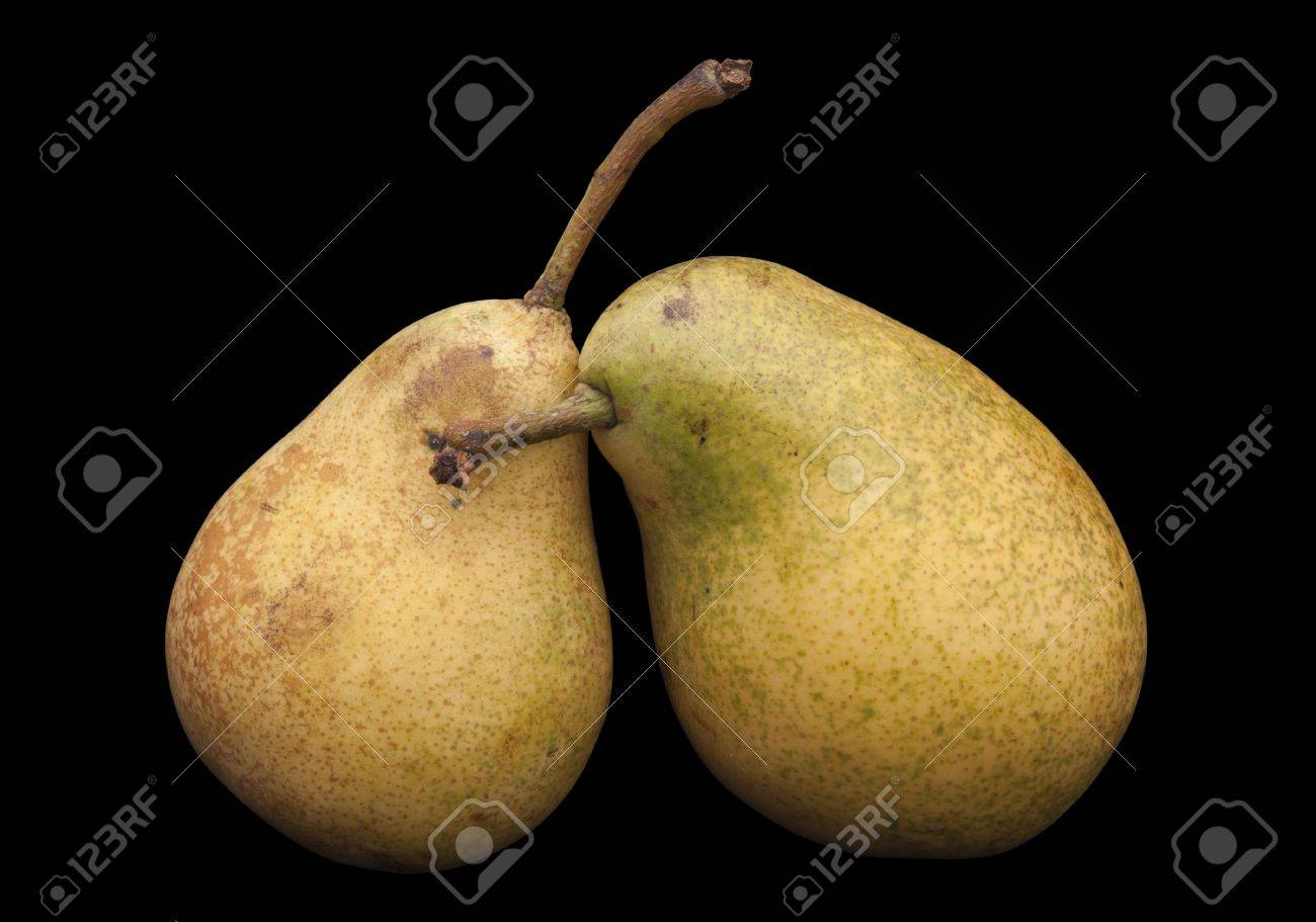 two pears like fat birds with long beaks caressing each other