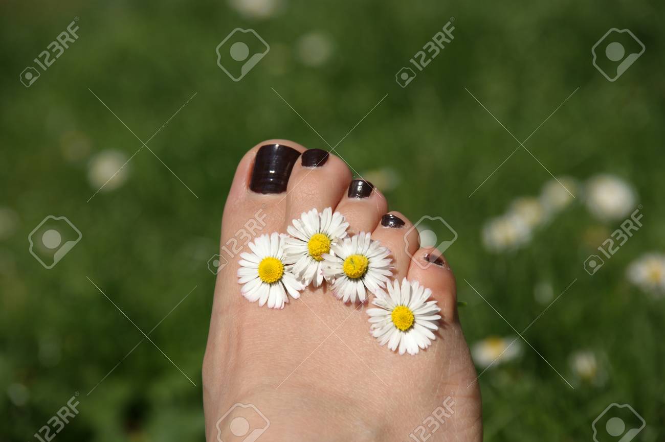 Feemale Zehen Auf Frühjahr Gras Mit Gänseblümchen Zwischen Den Zehen  Lizenzfreie Fotos, Bilder und Stock Fotografie. Image 21607262.