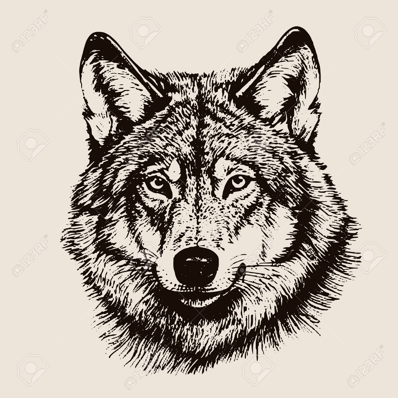 狼の絵 Amazon.co.jp: ZXHYWYM 青い目のオオカミ ウォールアート 白黒