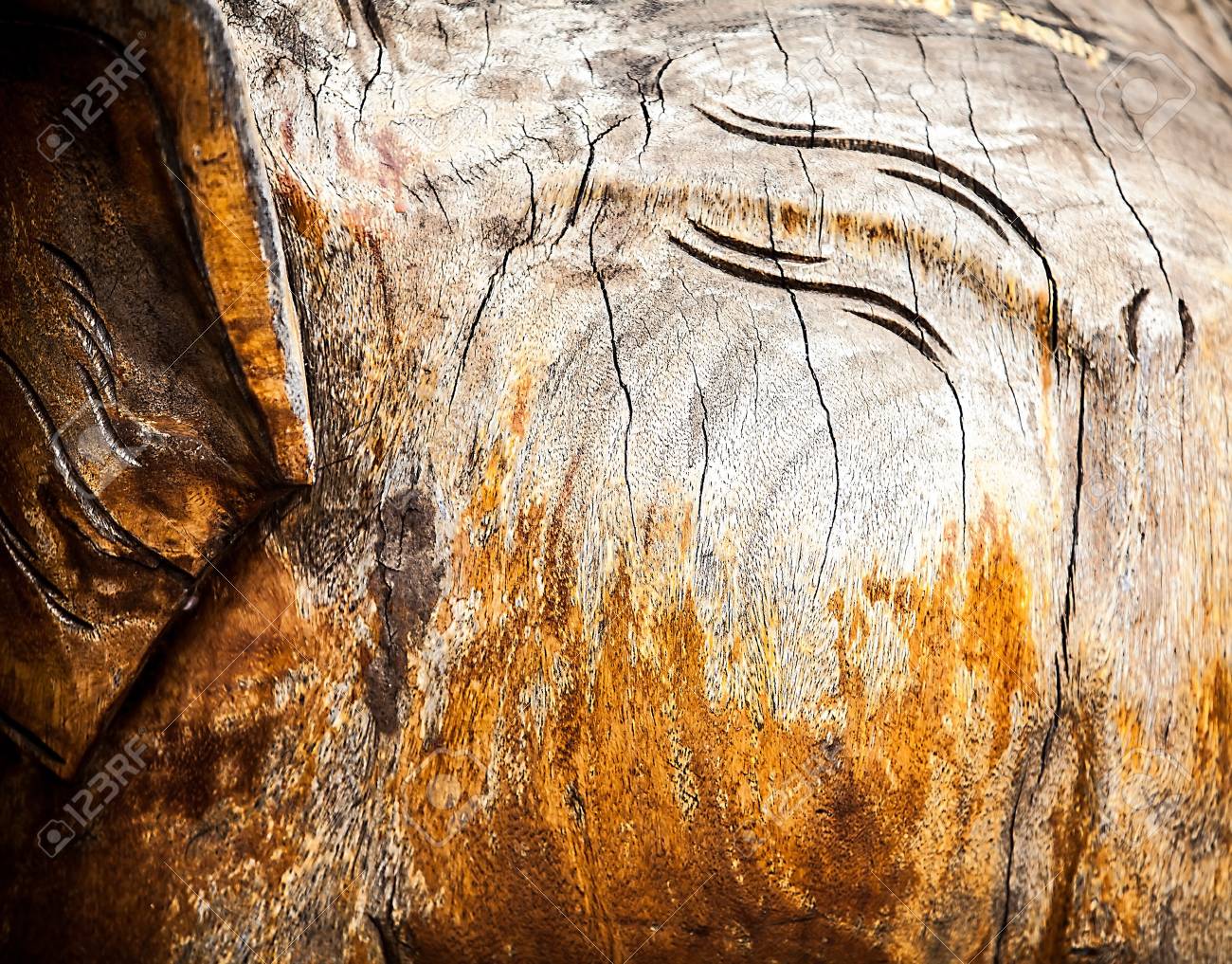 etiam-dictum-ipsum-a-felis