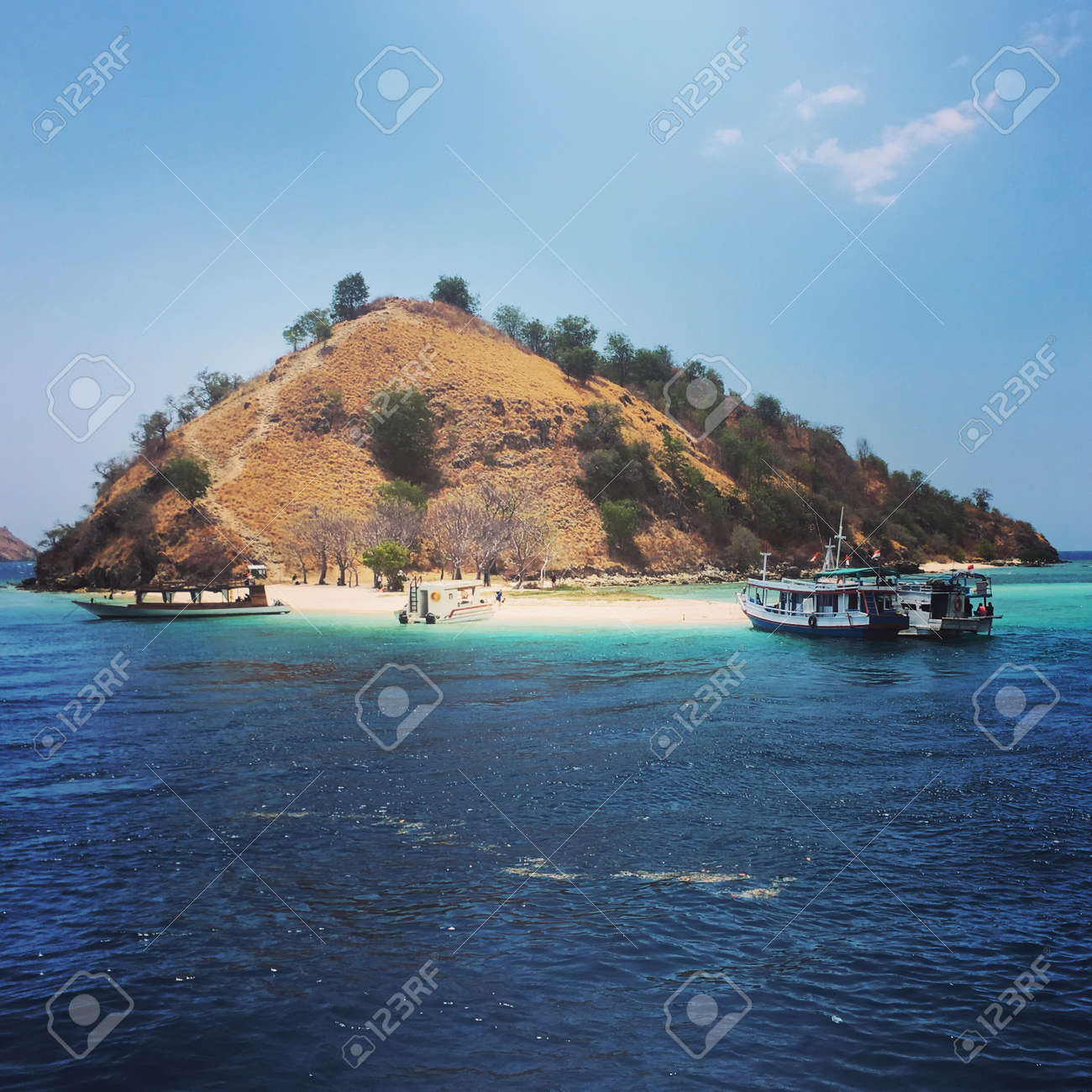 etiam-dictum-ipsum-a-felis