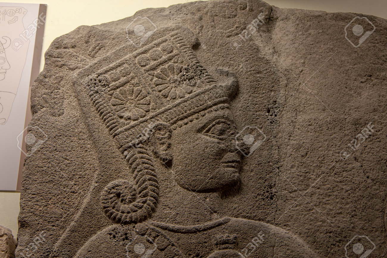 etiam-dictum-ipsum-a-felis