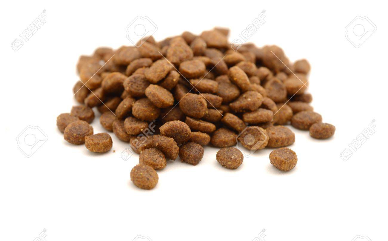 pet kibble