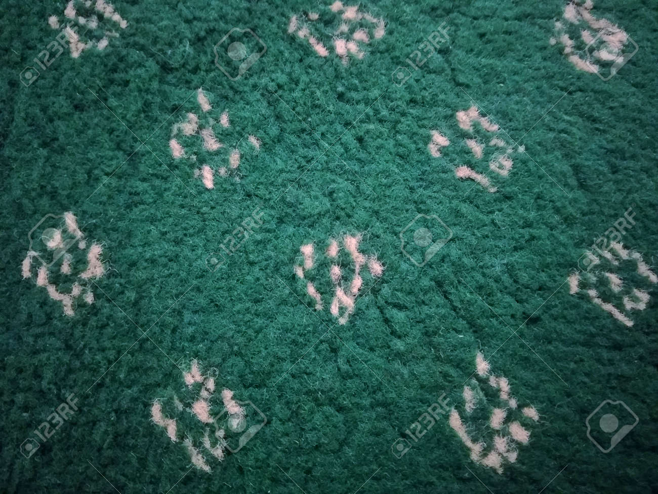 etiam-dictum-ipsum-a-felis