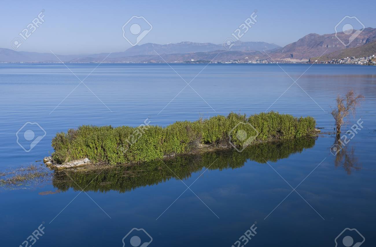 etiam-dictum-ipsum-a-felis