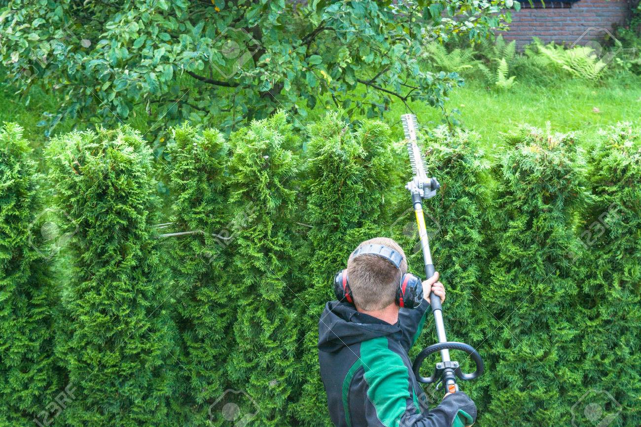 extendable hedge trimmer