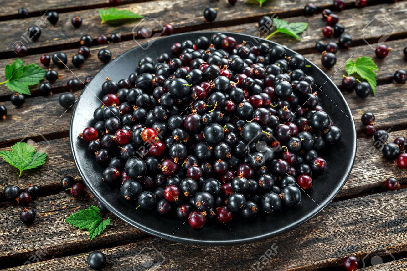 Fresh Juicy black currants in a plate on wooden rustic table - 80903187 Fresh Juicy black currants in a plate on wooden rustic table - 80903187