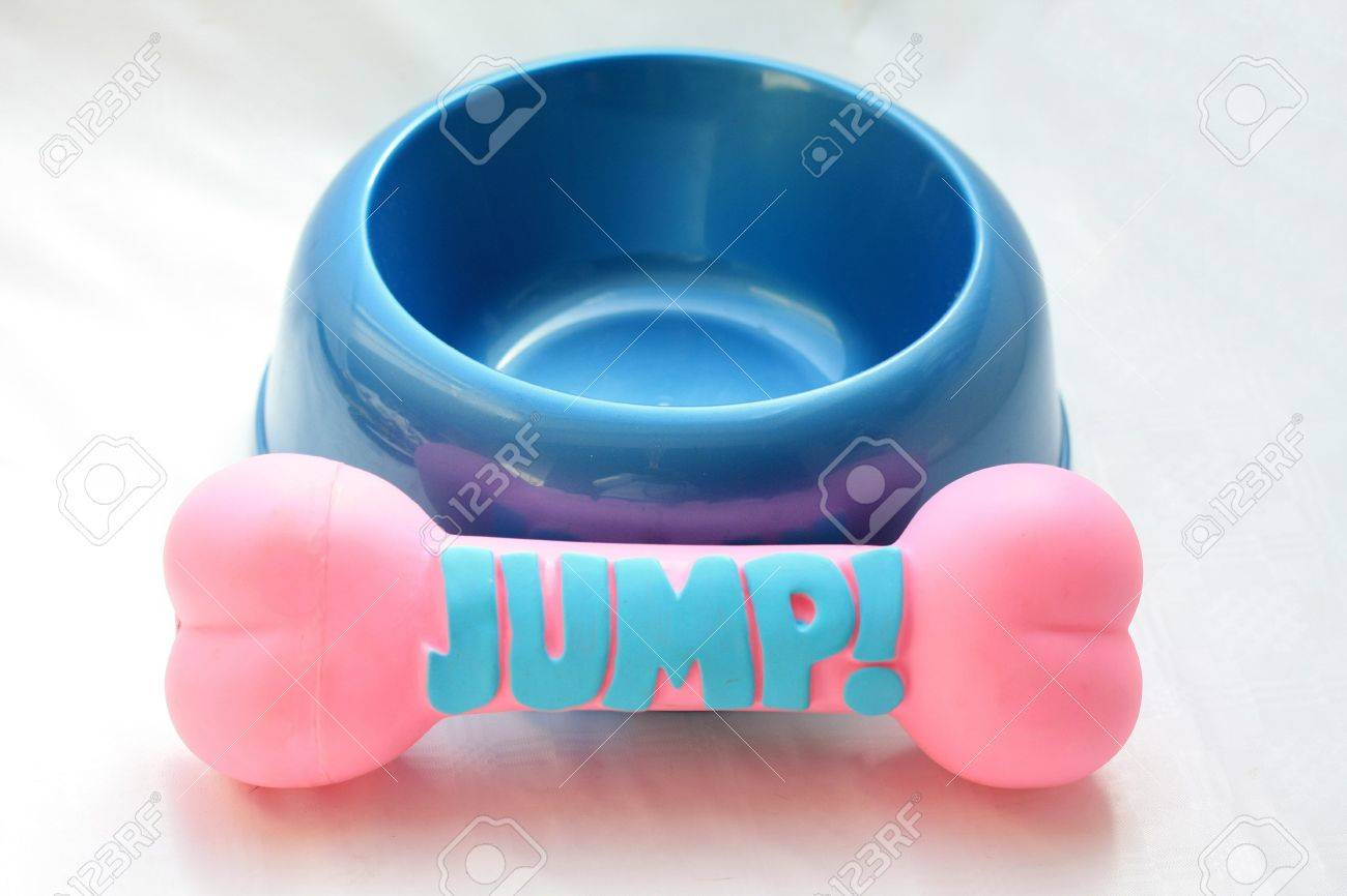 blue plastic dog bowl