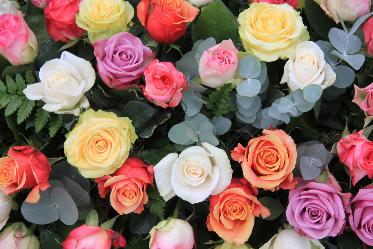 Mixed Rose Bouquet Big Roses In Bright Colors Stock Photo Picture And Royalty Free Image Image 13151929