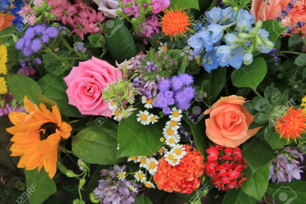 Mixed floral arrangement in many different colors - 14735273 Mixed floral arrangement in many different colors - 14735273