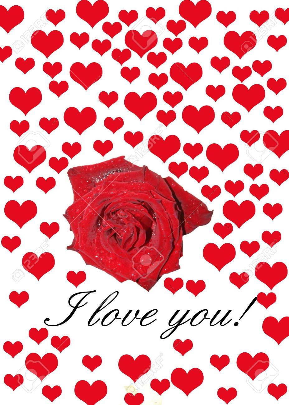 Carte de Saint-Valentin Motif ourson et roses Clintons