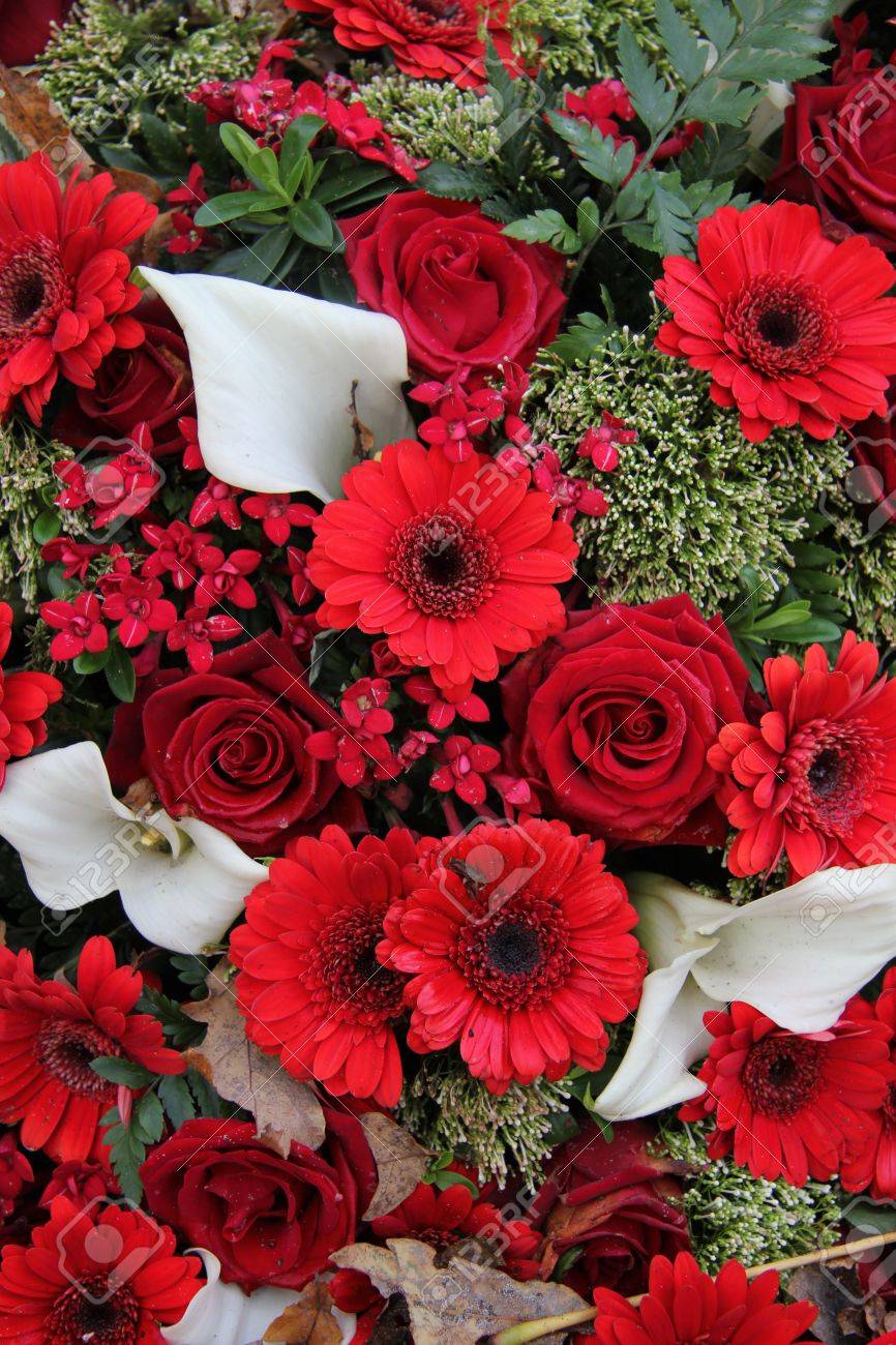 赤いバラとガーベラを組み合わせて水芭蕉フラワー アレンジで の写真素材 画像素材 Image