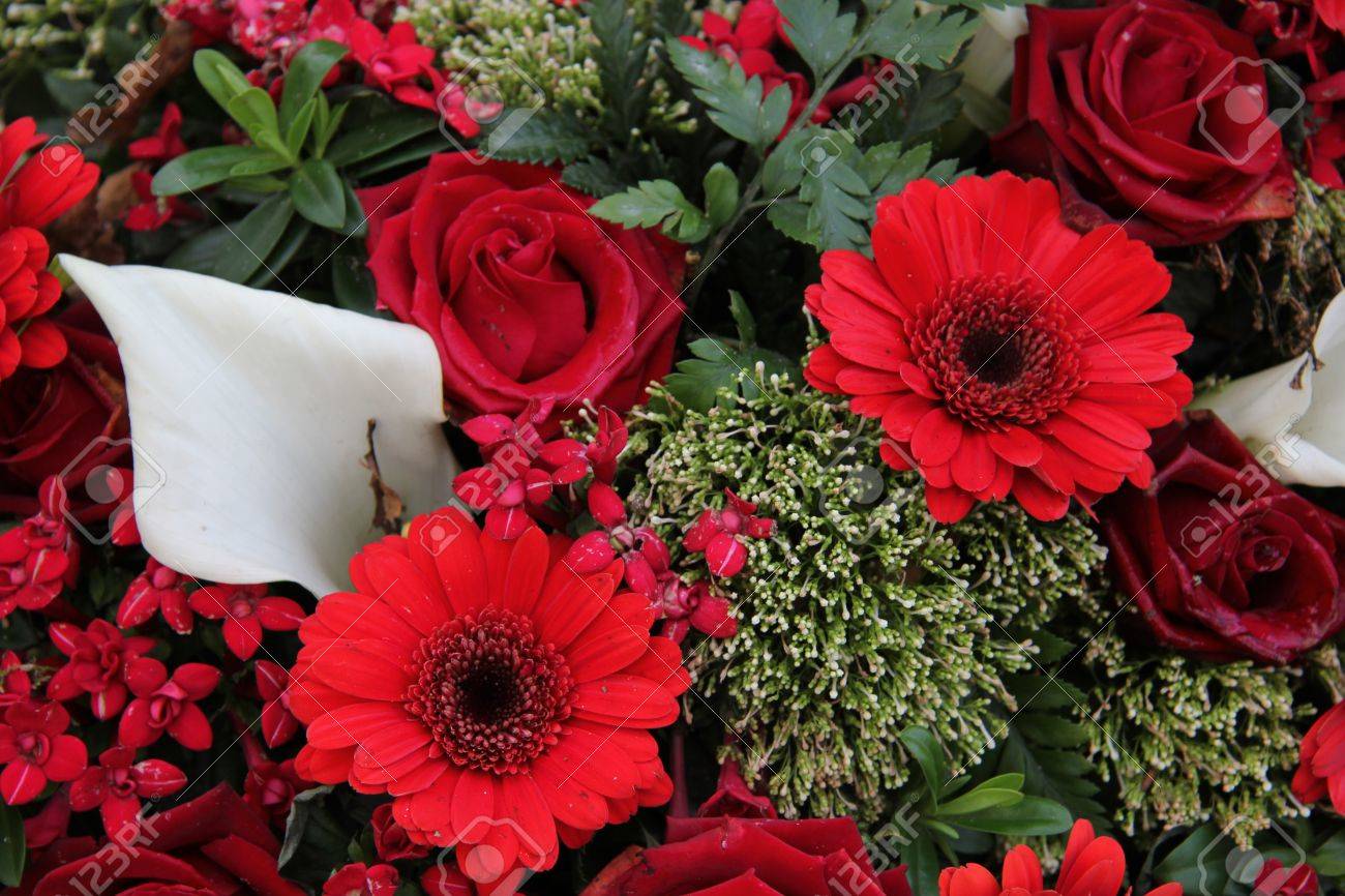 赤いバラとガーベラを組み合わせて水芭蕉フラワー アレンジで の写真素材 画像素材 Image