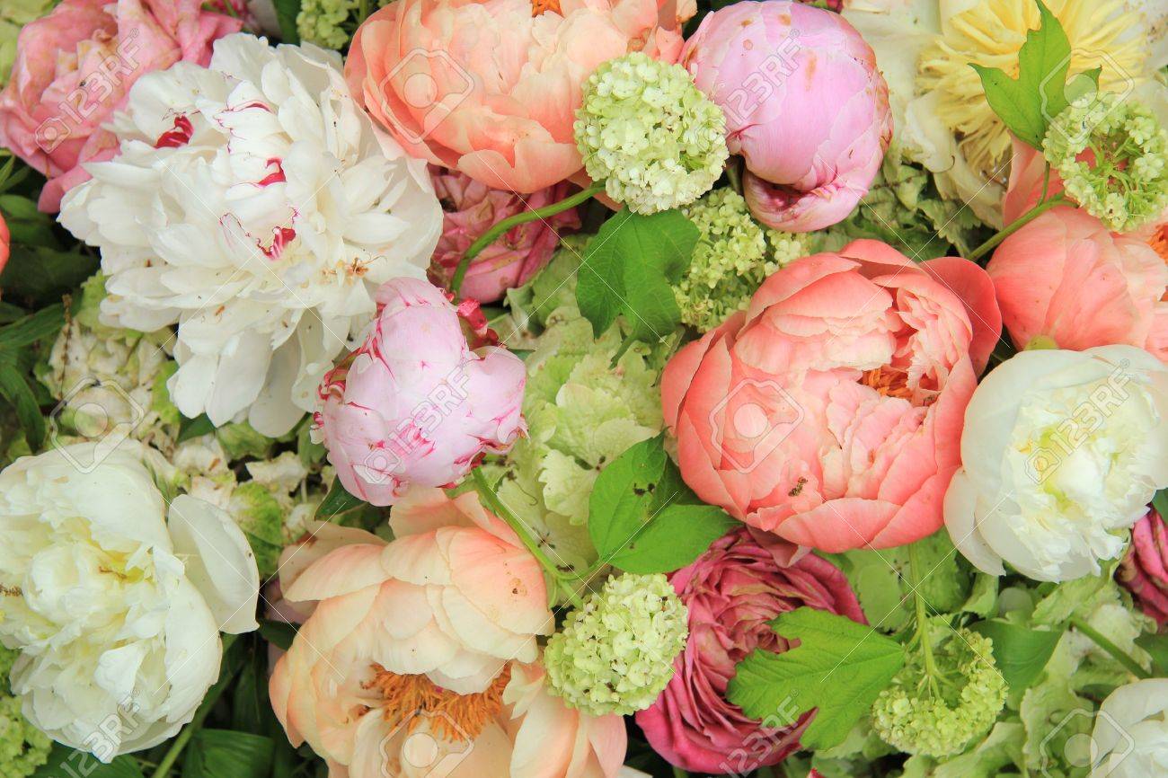 Peonies in various shades of pink and white in a floral wedding arrangement - 20037847 Peonies in various shades of pink and white in a floral wedding arrangement - 20037847