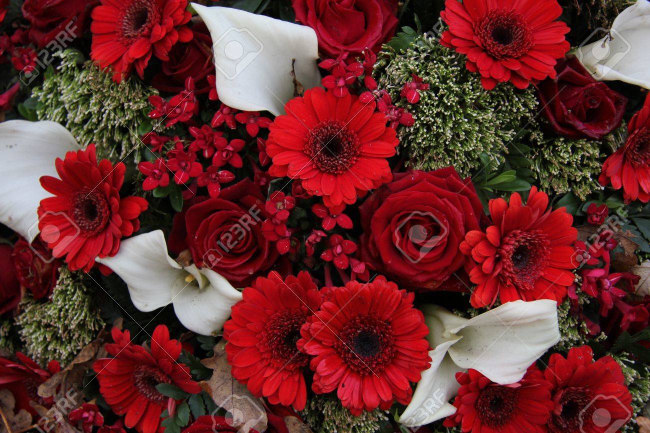 赤いバラとガーベラを組み合わせて水芭蕉フラワー アレンジで の写真素材 画像素材 Image 3265 赤いバラとガーベラを組み合わせて水芭蕉フラワー アレンジで の写真素材 画像素材 Image 3265