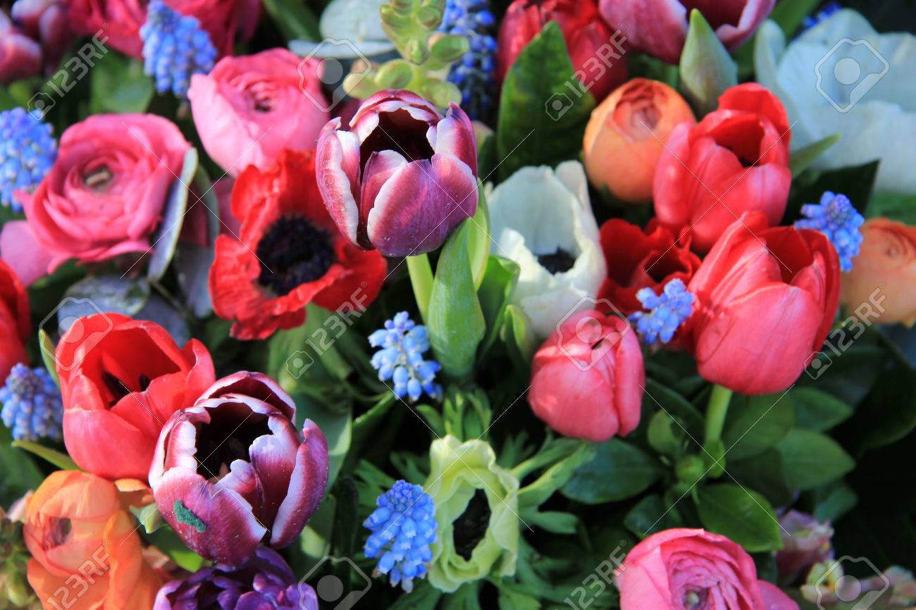明るい色のアネモネ チューリップ ラナンキュラスの春の花束 の写真素材 画像素材 Image