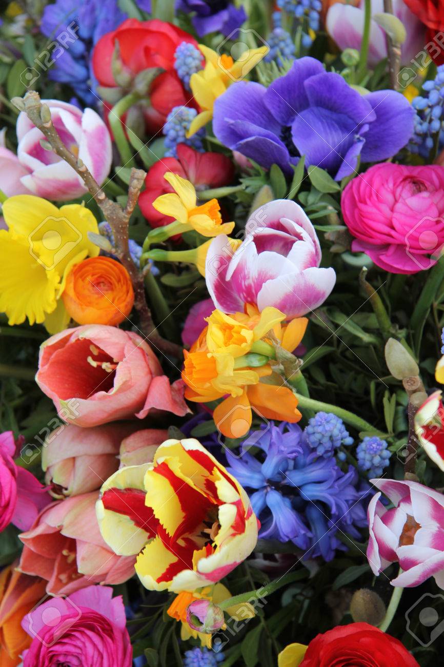 Spring Flowers In The Colors Suggested By Pantone Spring Flowers In The Colors Suggested By Pantone new images Spring Flowers In The Colors Suggested By Pantone Spring Flowers In The Colors Suggested By Pantone new foto