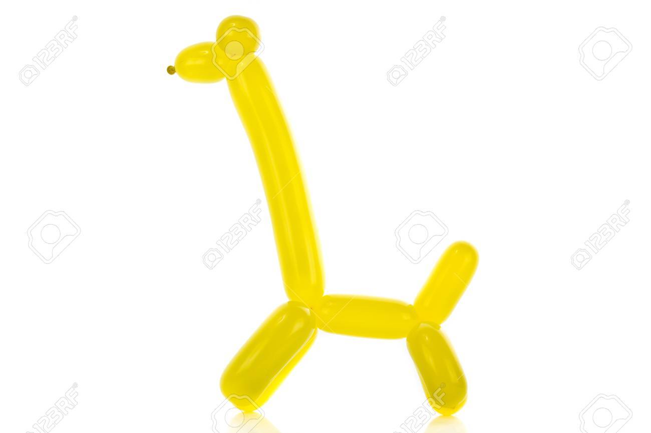 Simple Balloon Animal Giraffe On White Stock Photo, Picture And Royalty Free Image. Image 15579877. Simple Balloon Animal Giraffe On White Stock Photo, Picture And Royalty Free Image. Image 15579877.