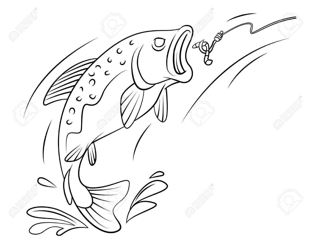 Peche A La Truite Poisson Clip Art Libres De Droits Vecteurs Et Illustration Image