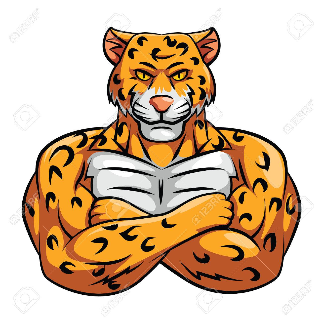 白のチーターのイラスト のイラスト素材 ベクタ Image