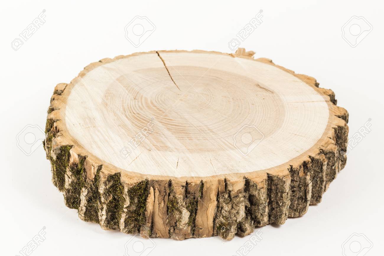 Cortar El árbol Fondo Blanco. Bandeja Madera. Fotos, Retratos, Imágenes Y Fotografía De Archivo Libres De Derecho. Image 91214976.