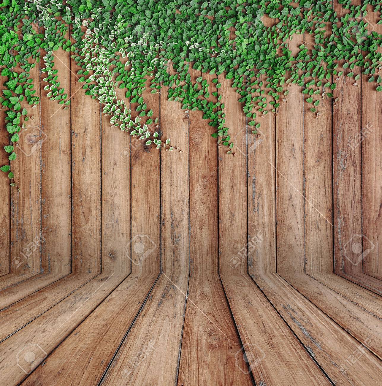 テキストと背景の木の上の葉 の写真素材 画像素材 Image