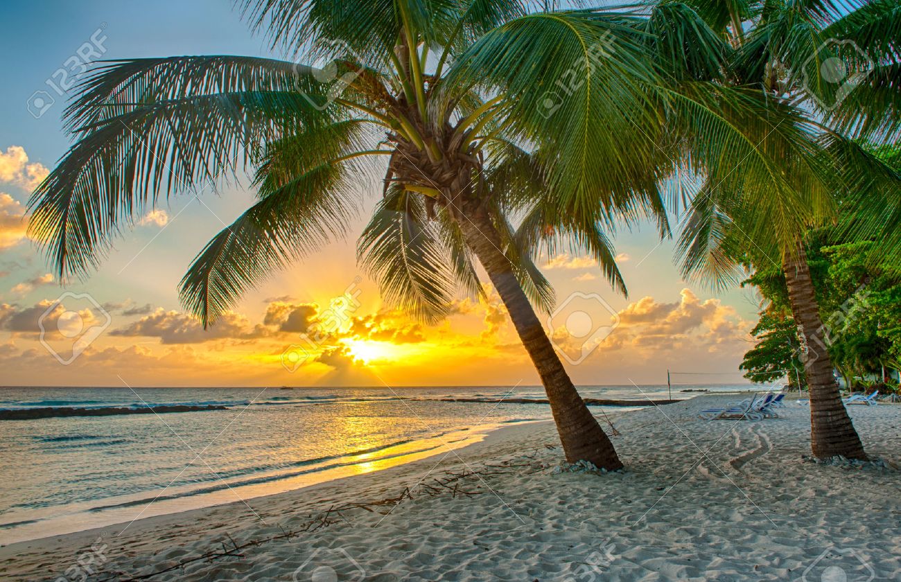 Magnifique Coucher De Soleil Sur La Mer Avec Une Vue A Palmiers Sur La Plage De Sable Blanc Sur Une Ile Des Caraibes De La Barbade Banque D Images Et Photos Libres De Magnifique Coucher De Soleil Sur La Mer Avec Une Vue A Palmiers Sur La Plage De Sable Blanc Sur Une Ile Des Caraibes De La Barbade Banque D Images Et Photos Libres De