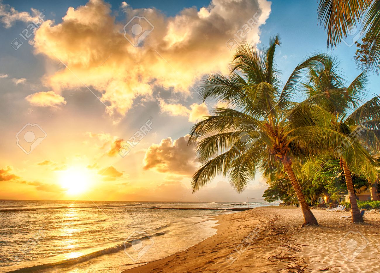 Strand Sonnenuntergang Palmen sdatec.com