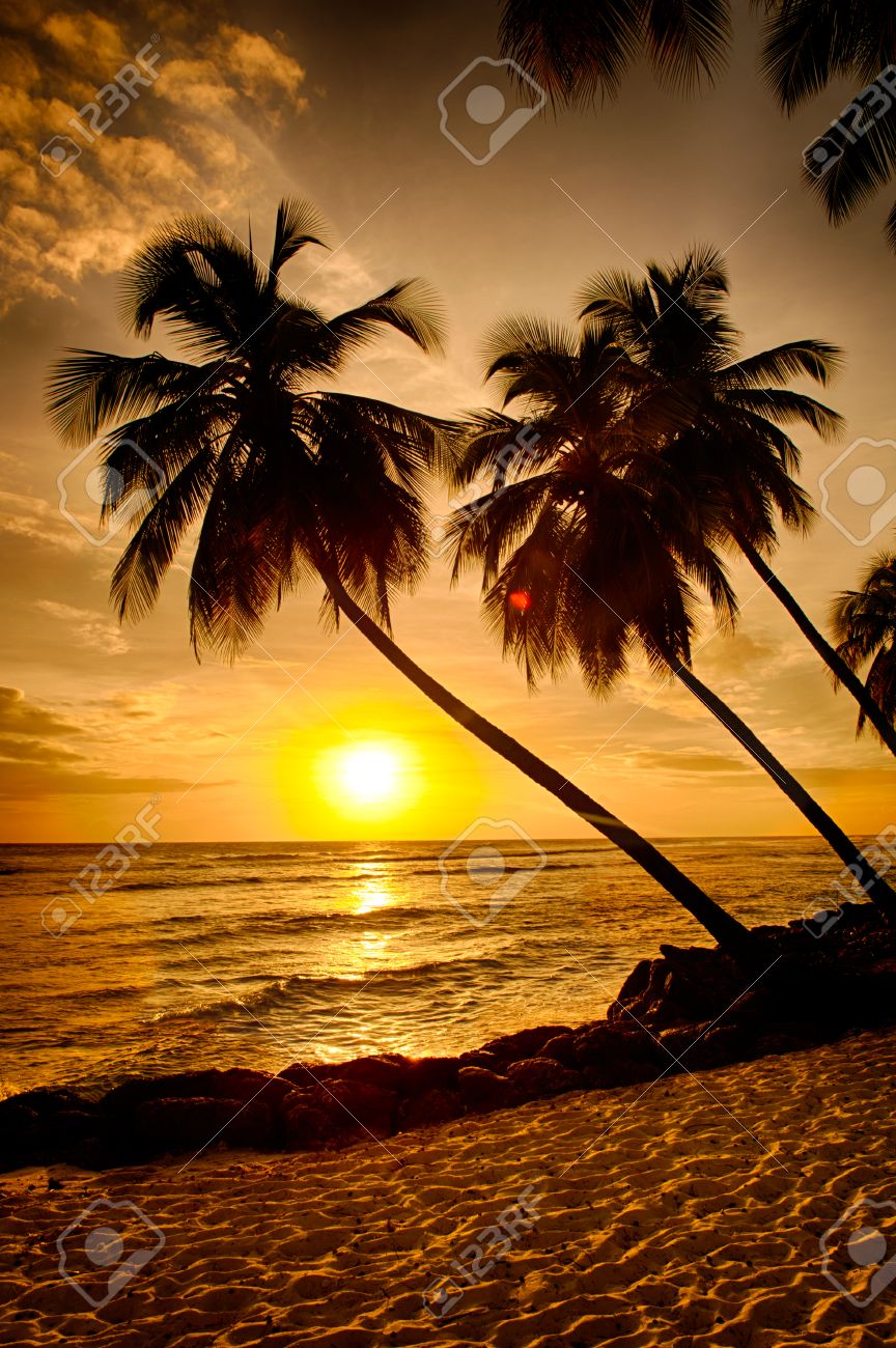 Magnifique Coucher De Soleil Sur La Mer Avec Une Vue A Palmiers Sur La Plage De Sable Blanc Sur Une Ile Des Caraibes De La Barbade Banque D Images Et Photos Libres De Magnifique Coucher De Soleil Sur La Mer Avec Une Vue A Palmiers Sur La Plage De Sable Blanc Sur Une Ile Des Caraibes De La Barbade Banque D Images Et Photos Libres De